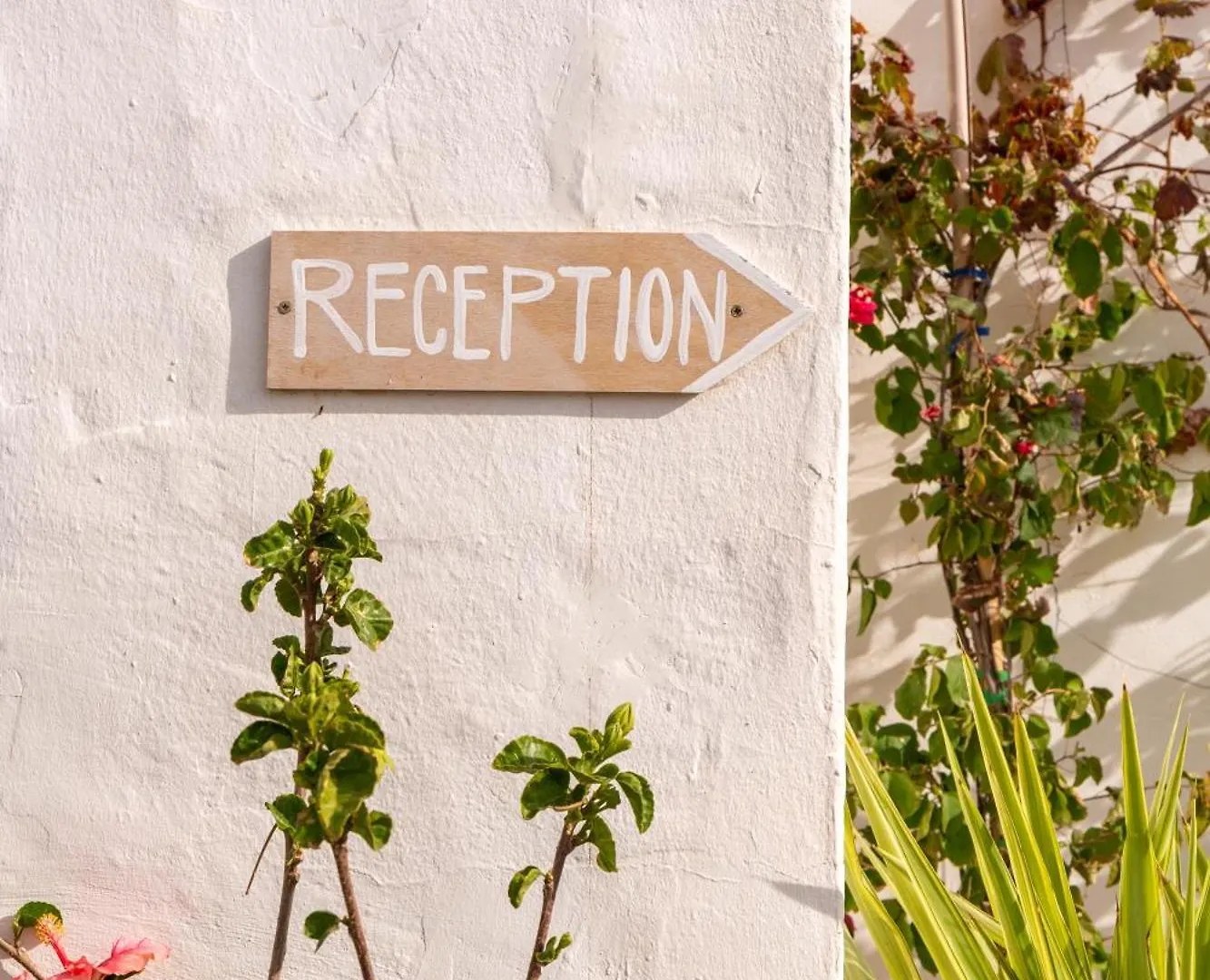 Hotel Unio Ibiza - Adults Only Cala Vadella